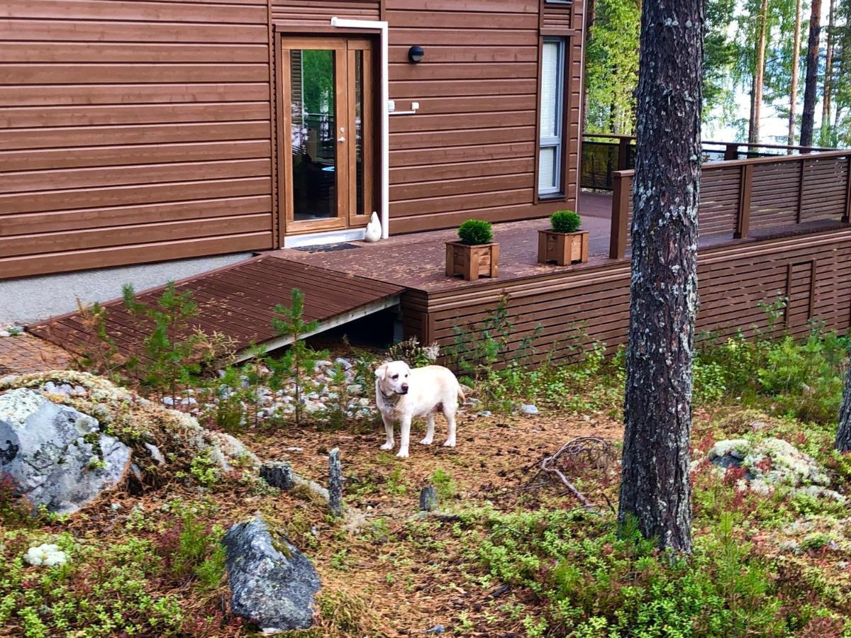 皮里斯里纳别墅 Kolinkylä 外观 照片