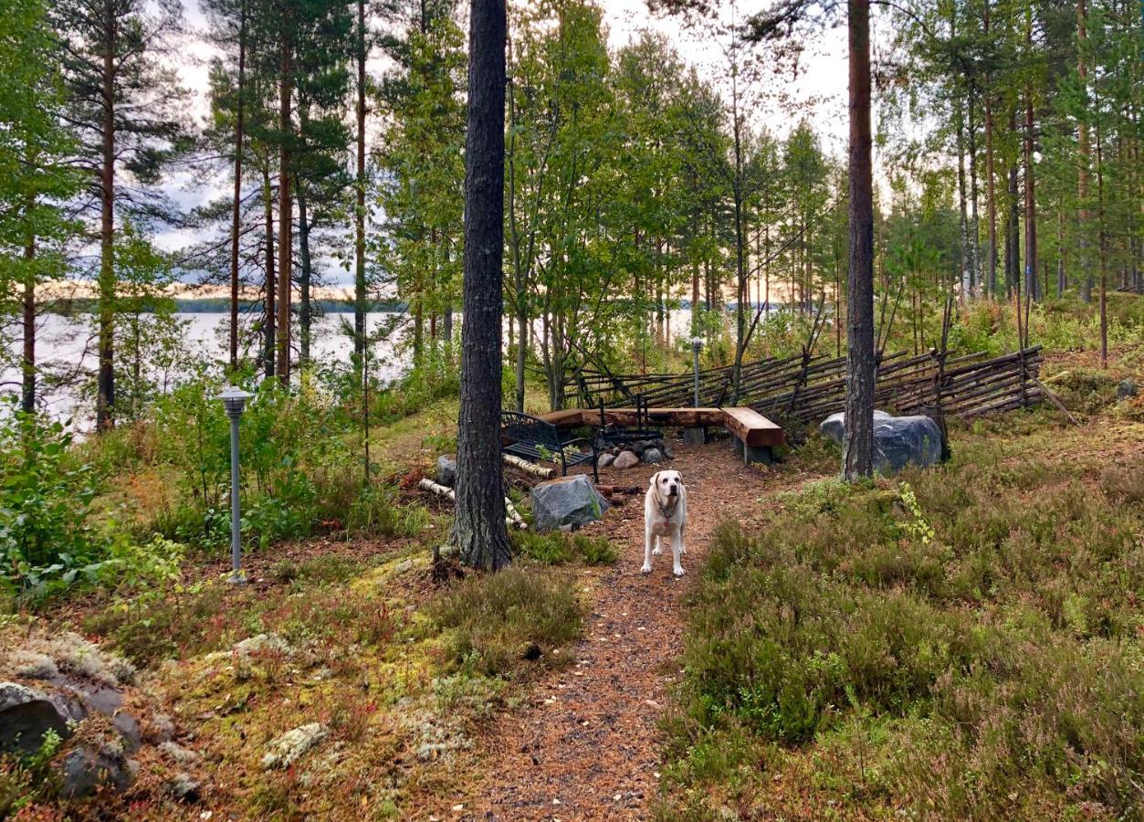 皮里斯里纳别墅 Kolinkylä 外观 照片